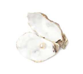 Photo of Open oyster shell with pearl on white background