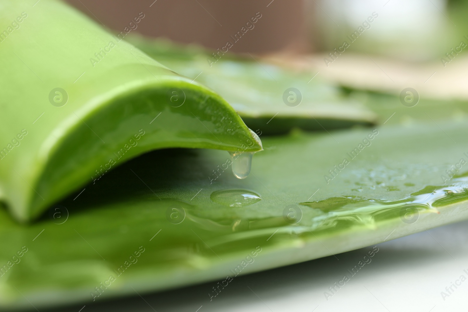 Photo of Fresh cut juicy aloe vera leaves on white table, closeup