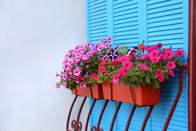 Photo of Beautiful bright petunia flowers in pots outdoors