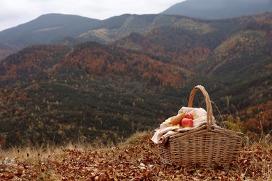 Wicker picnic basket with fruits and plaid on autumn leaves in mountains, space for text