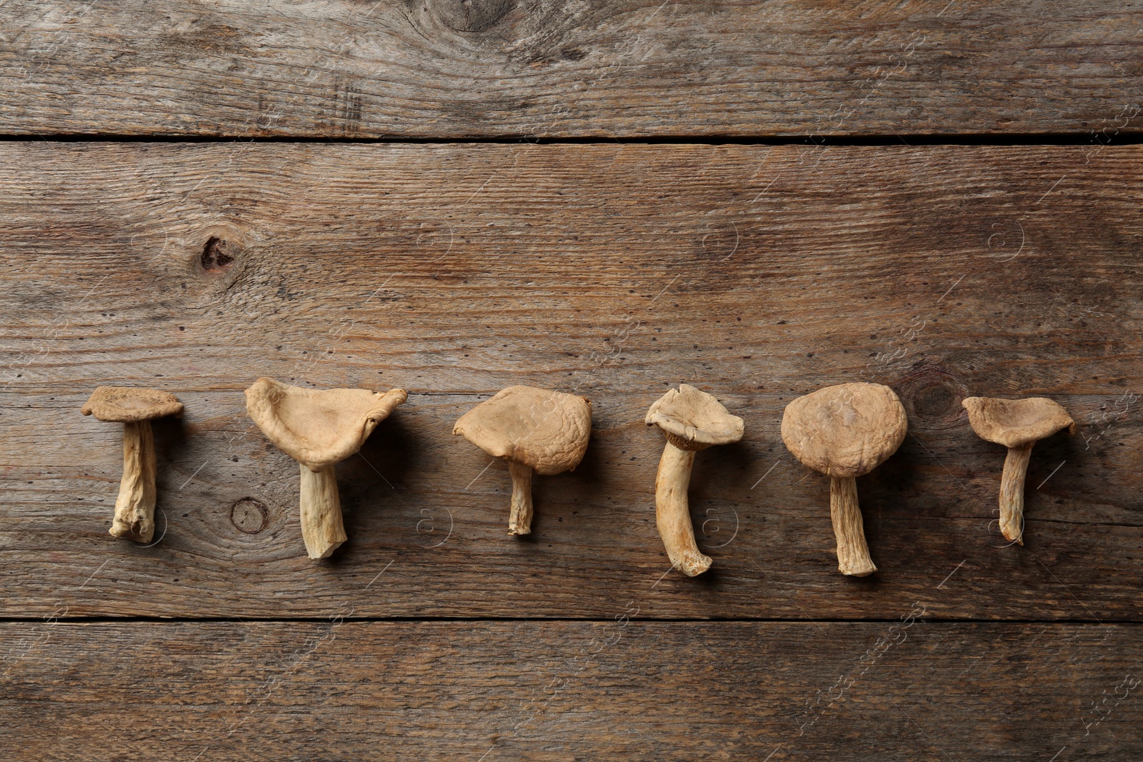 Photo of Flat lay composition of dried mushrooms on wooden background