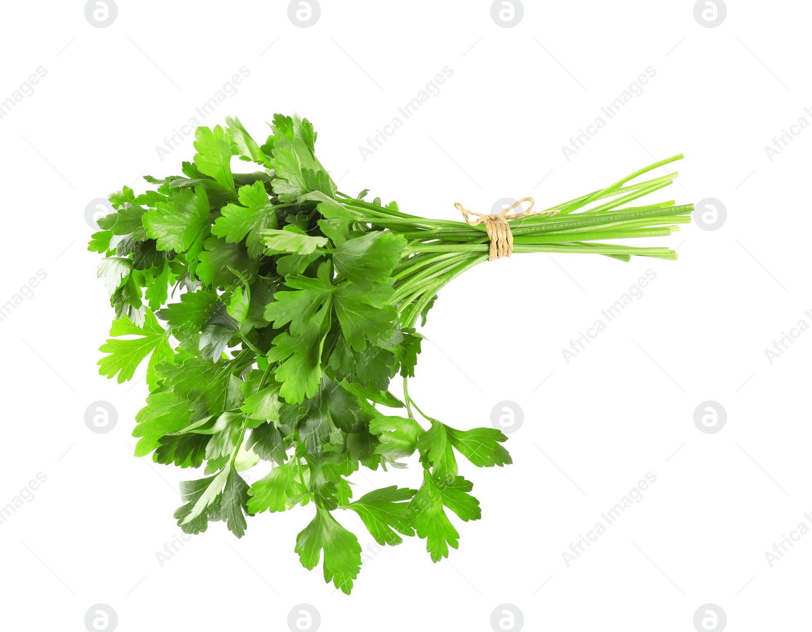 Photo of Bunch of fresh green parsley isolated on white