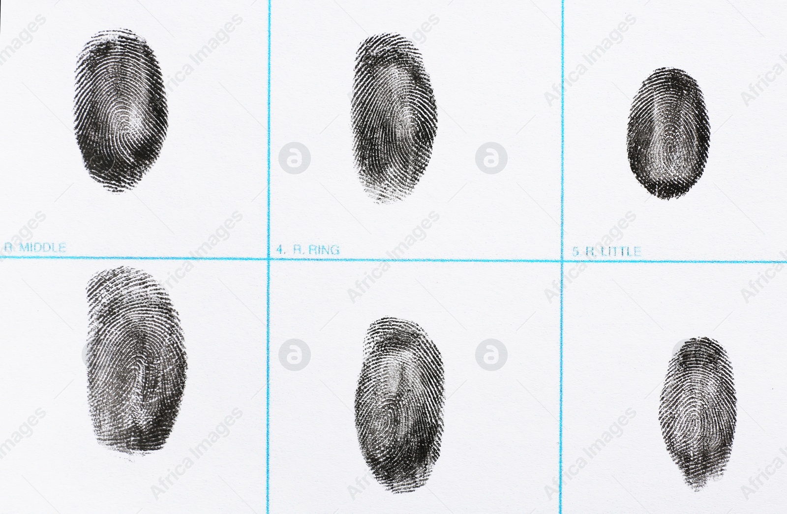 Photo of Fingerprint record sheet, top view. Criminal investigation