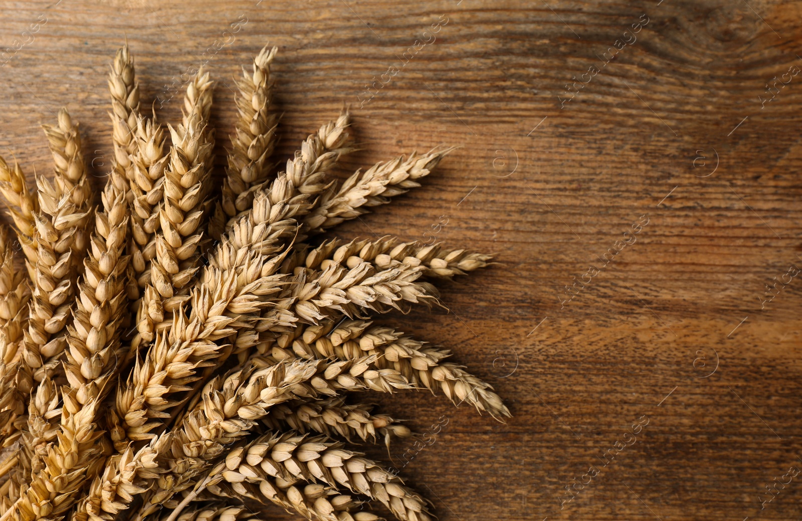 Photo of Ears of wheat on wooden table, flat lay. Space for text