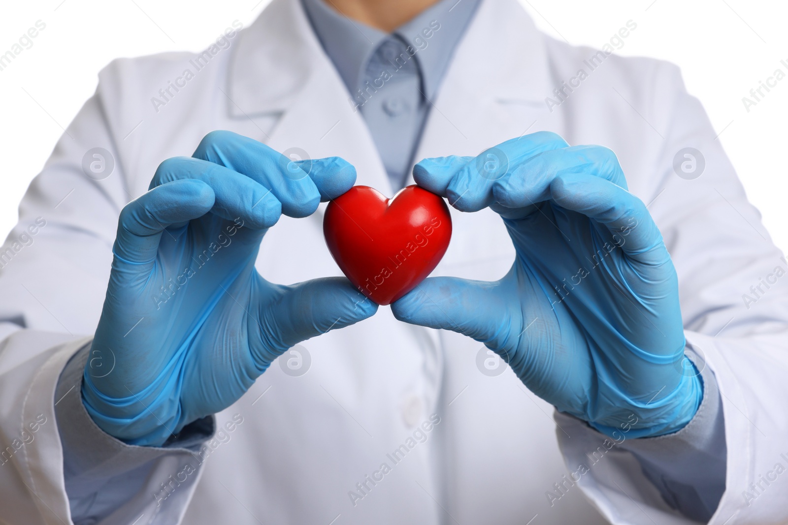 Photo of Doctor wearing light blue medical gloves holding decorative heart on white background, closeup