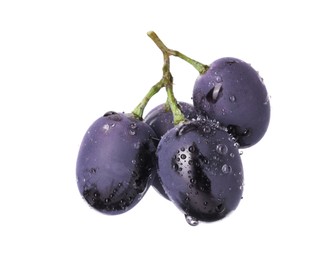 Photo of Delicious ripe dark blue grapes with water drops isolated on white