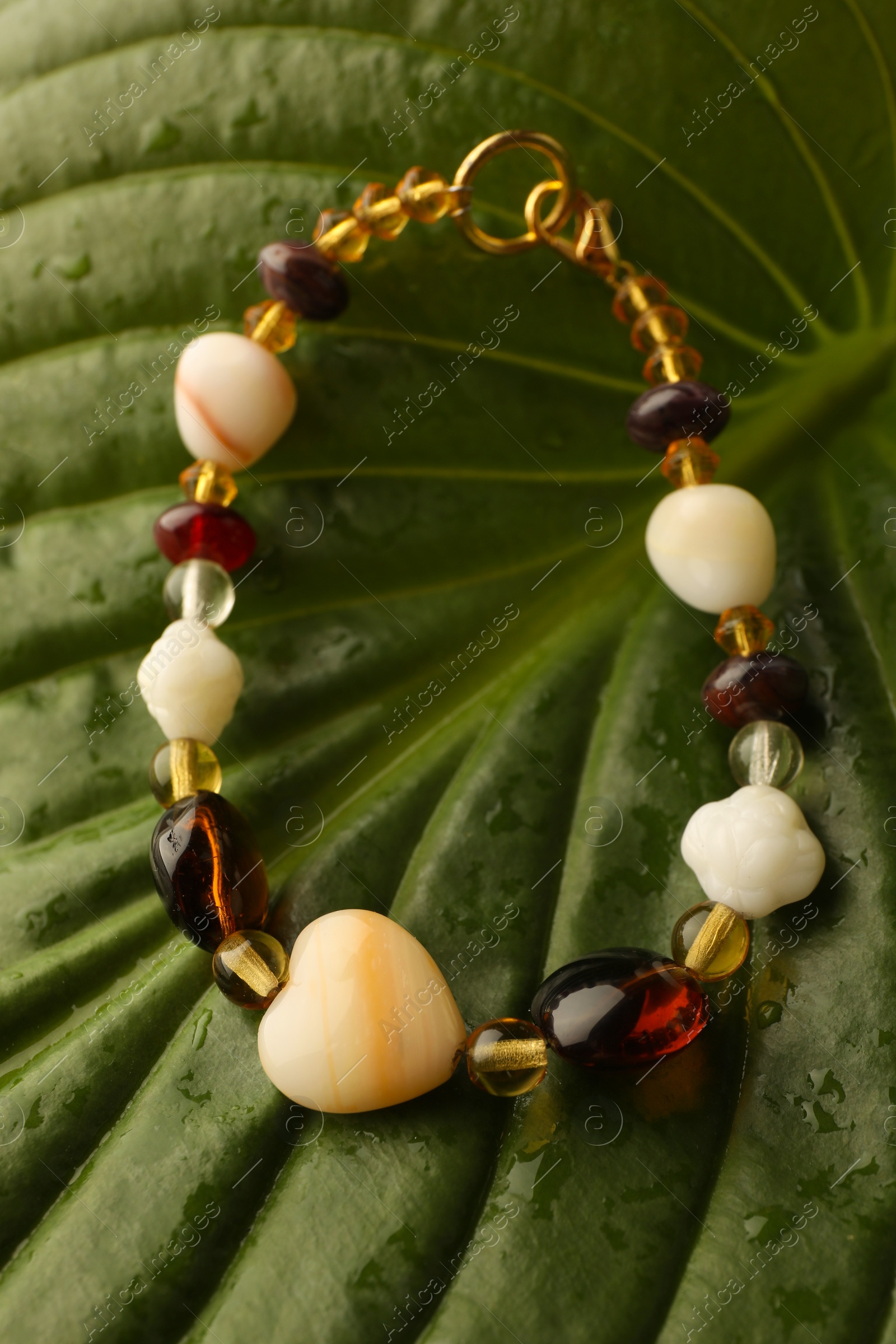 Photo of Beautiful bracelet with gemstones on green leaf