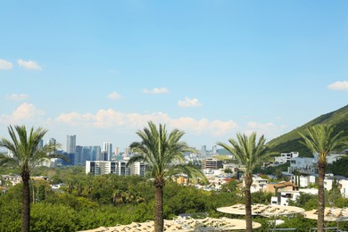 Photo of Picturesque view of city with buildings and beautiful palms on sunny day