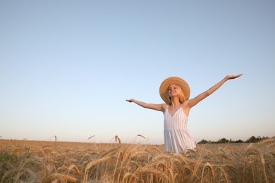 Photo of Woman in ripe wheat spikelets field. Space for text