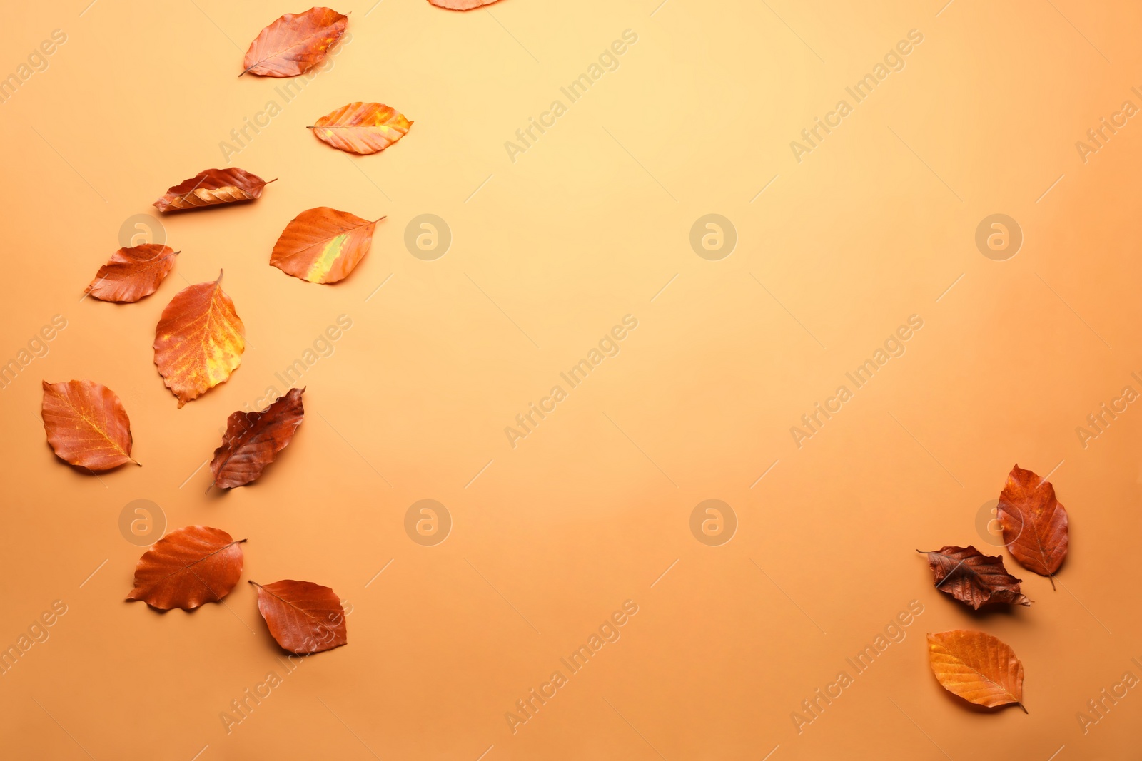 Photo of Dry autumn leaves on pale orange background, flat lay. Space for text