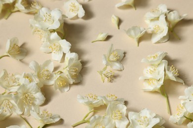 Many aromatic jasmine flowers on beige background, flat lay