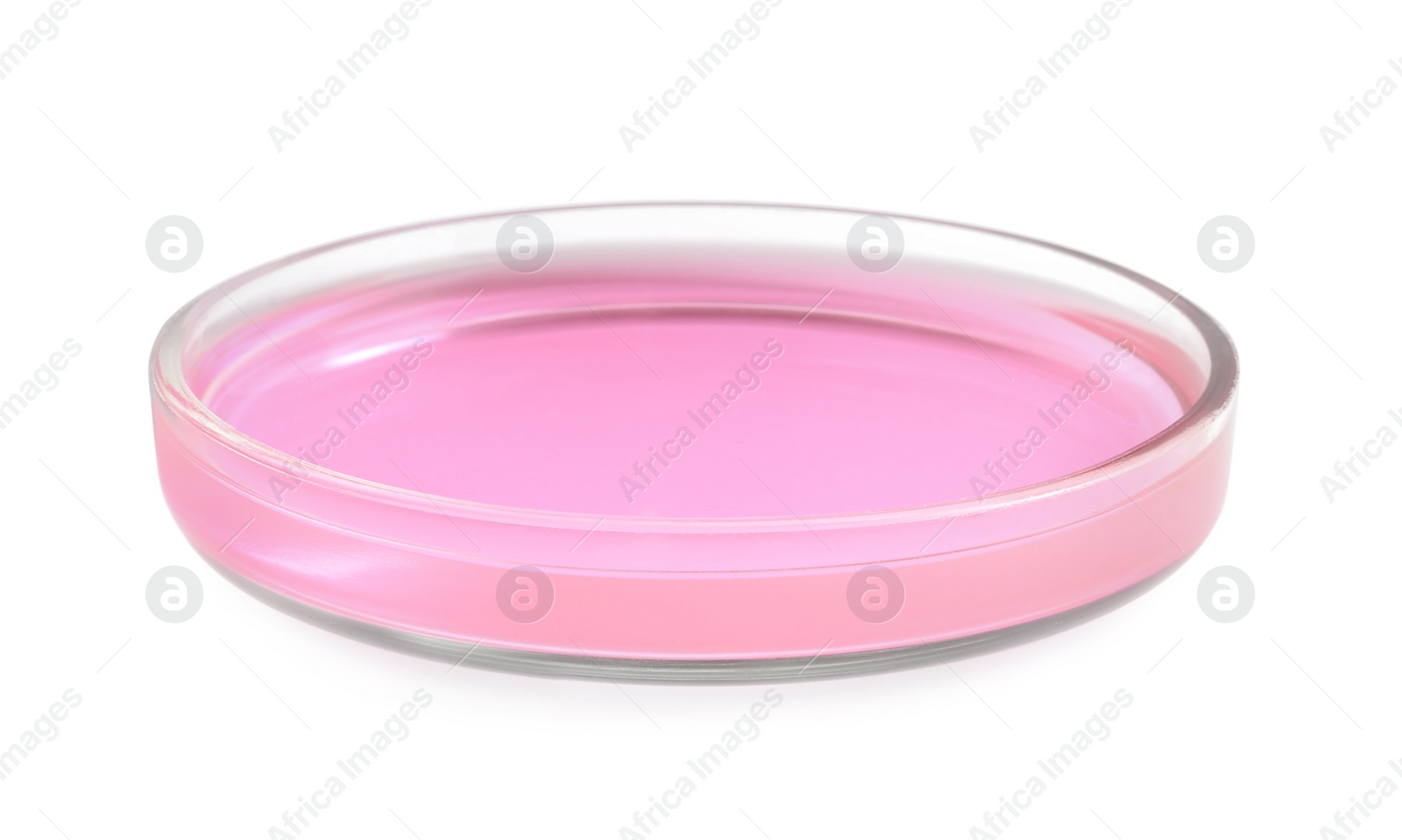 Photo of Petri dish with pink liquid isolated on white