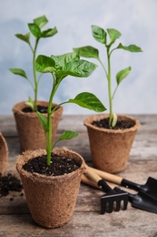 Vegetable seedlings in peat pots on wooden table against light background