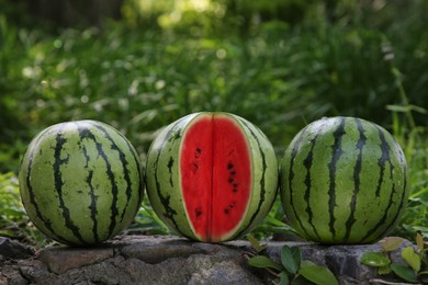 Delicious whole and cut watermelons on stone surface outdoors