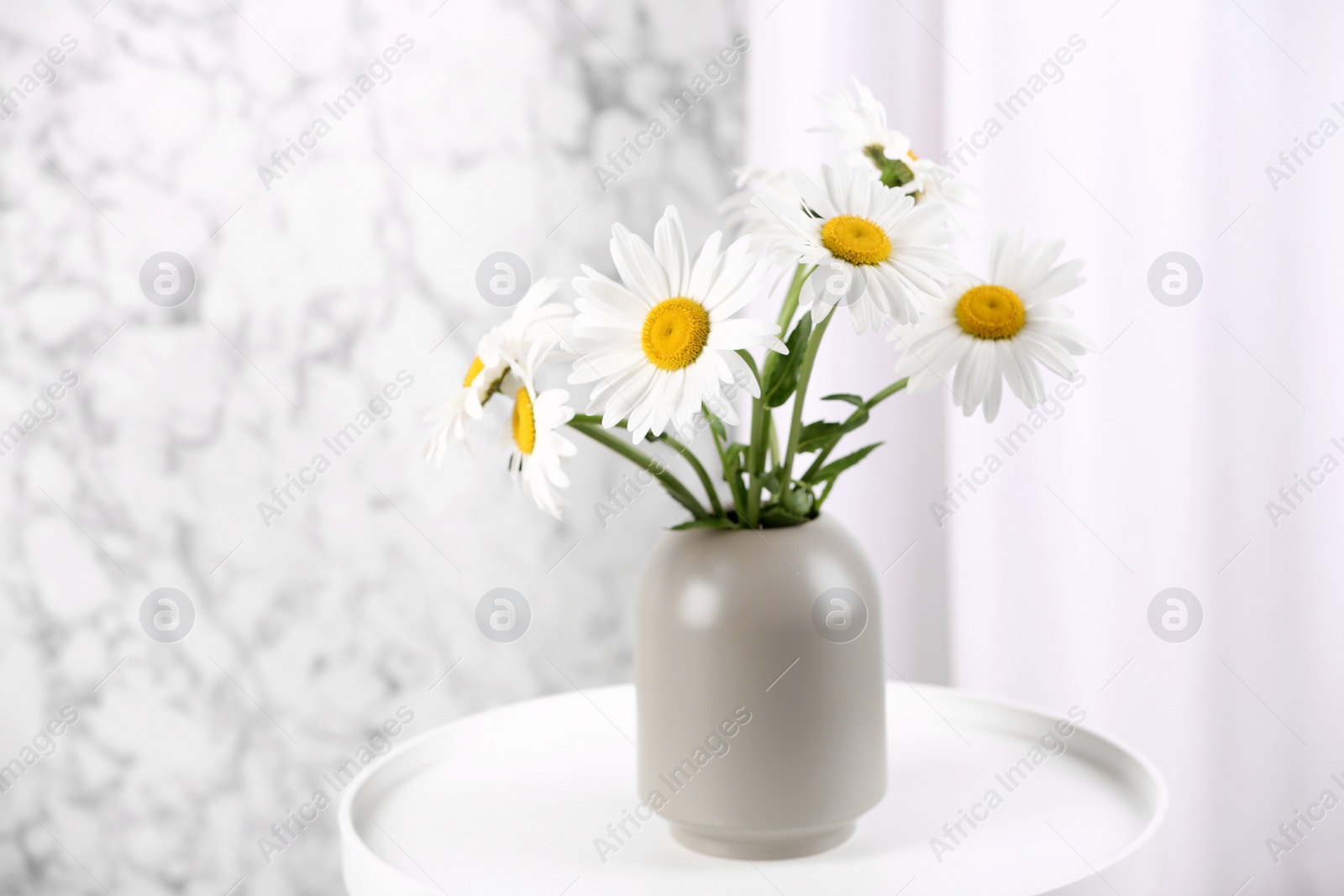 Photo of Beautiful tender chamomile flowers in vase on white table indoors