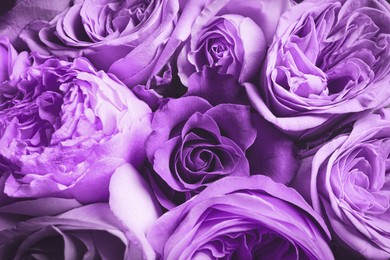 Image of Bouquet with violet flowers as background, closeup. Funeral attributes