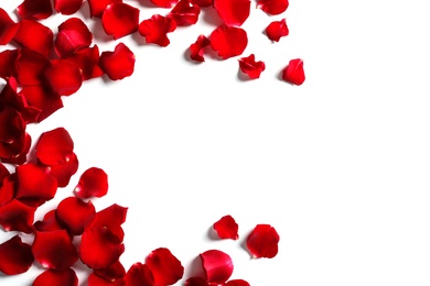 Red rose petals on white background, top view