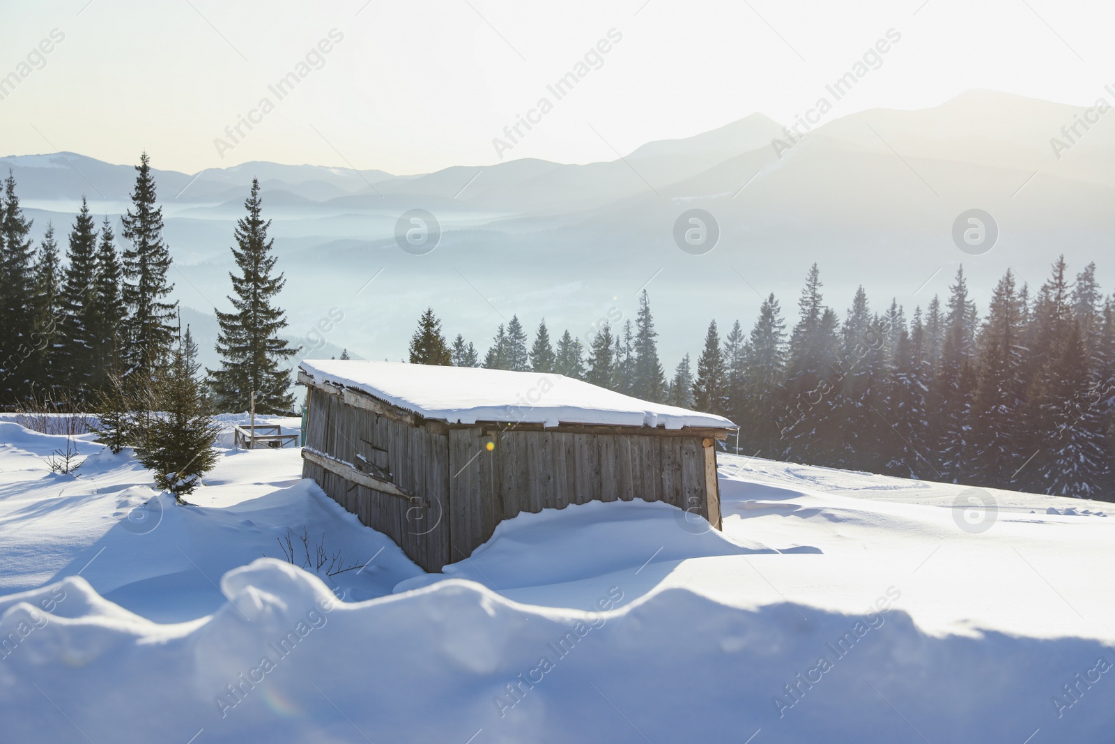 Photo of Wooden house covered with snow on winter day