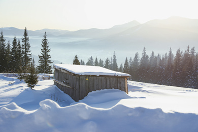 Photo of Wooden house covered with snow on winter day