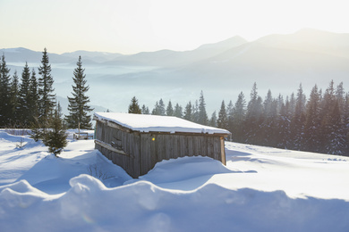 Wooden house covered with snow on winter day