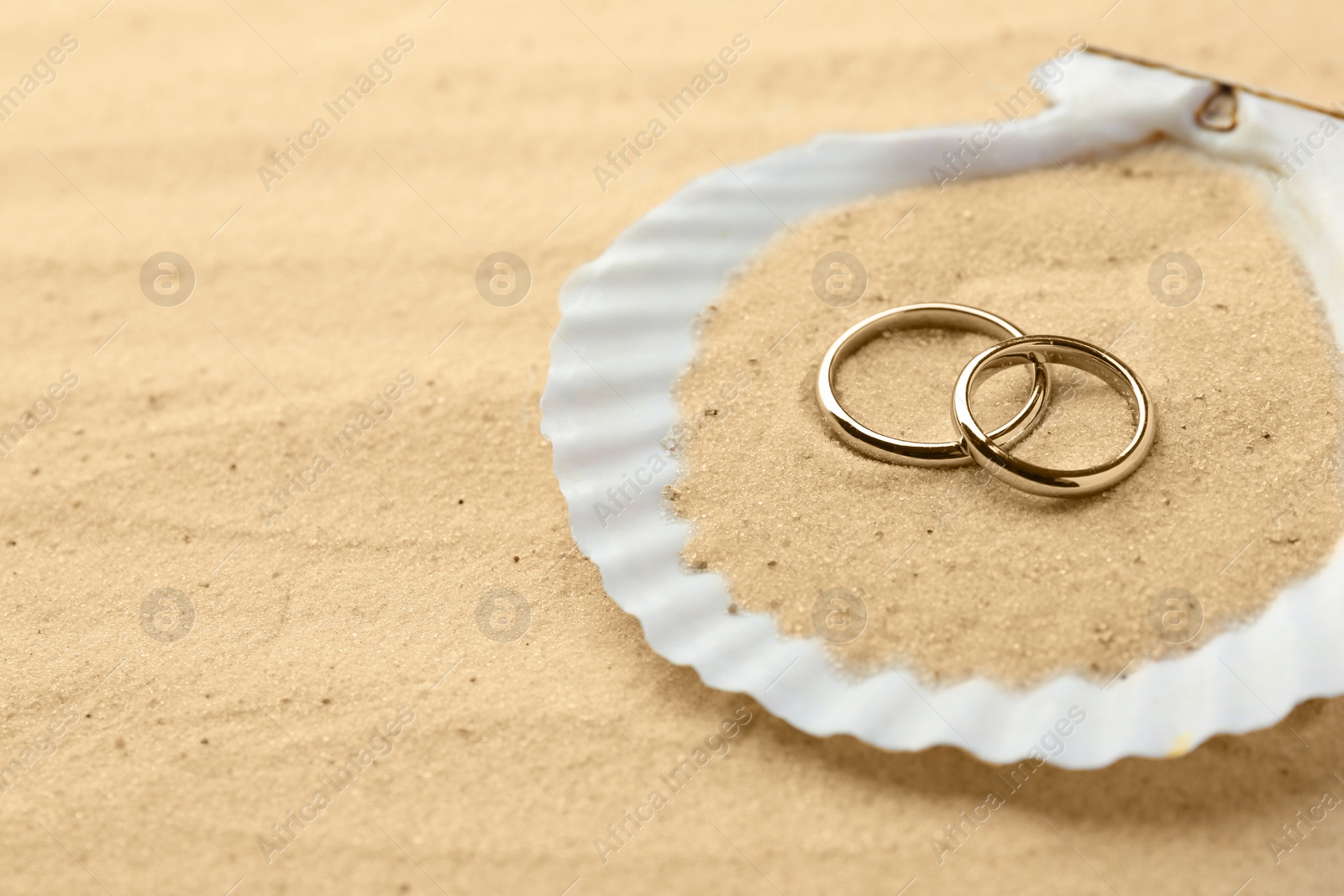 Photo of Honeymoon concept. Two golden rings and shell on sand, closeup