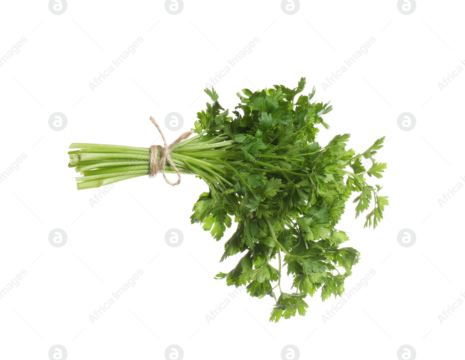 Photo of Bunch of fresh green parsley on white background