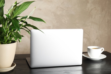 Photo of Spathiphyllum plant, laptop and cup on table near color wall. Home decor