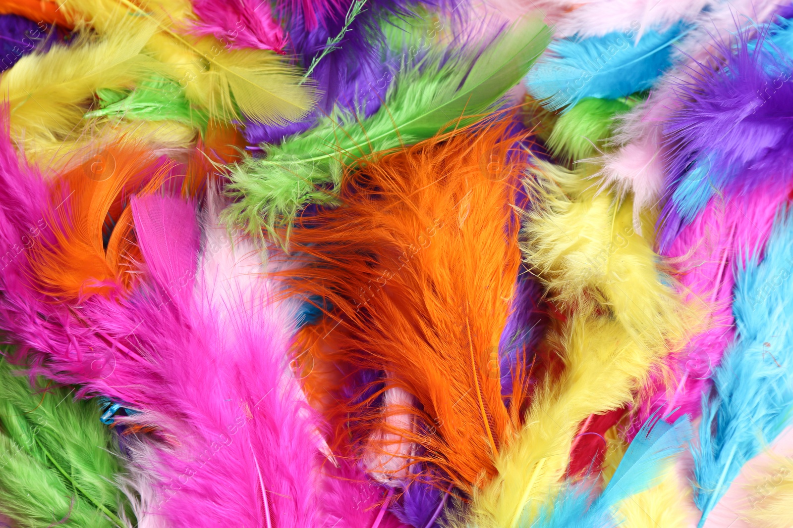 Photo of Many beautiful bright feathers as background, top view