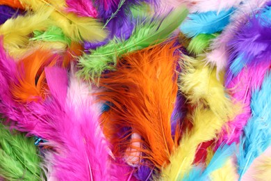 Many beautiful bright feathers as background, top view