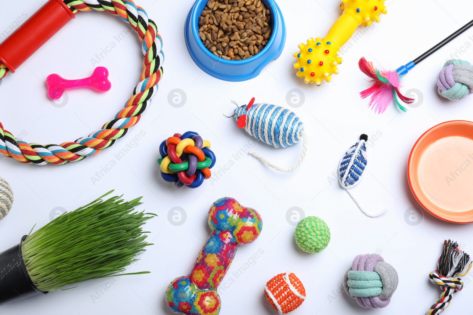 Photo of Different pet toys and feeding bowls on white background, top view