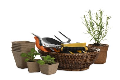 Different modern gardening tools on white background