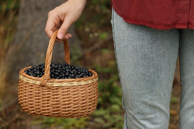 Photo of Woman holding wicker basket with delicious bilberries outdoors, closeup