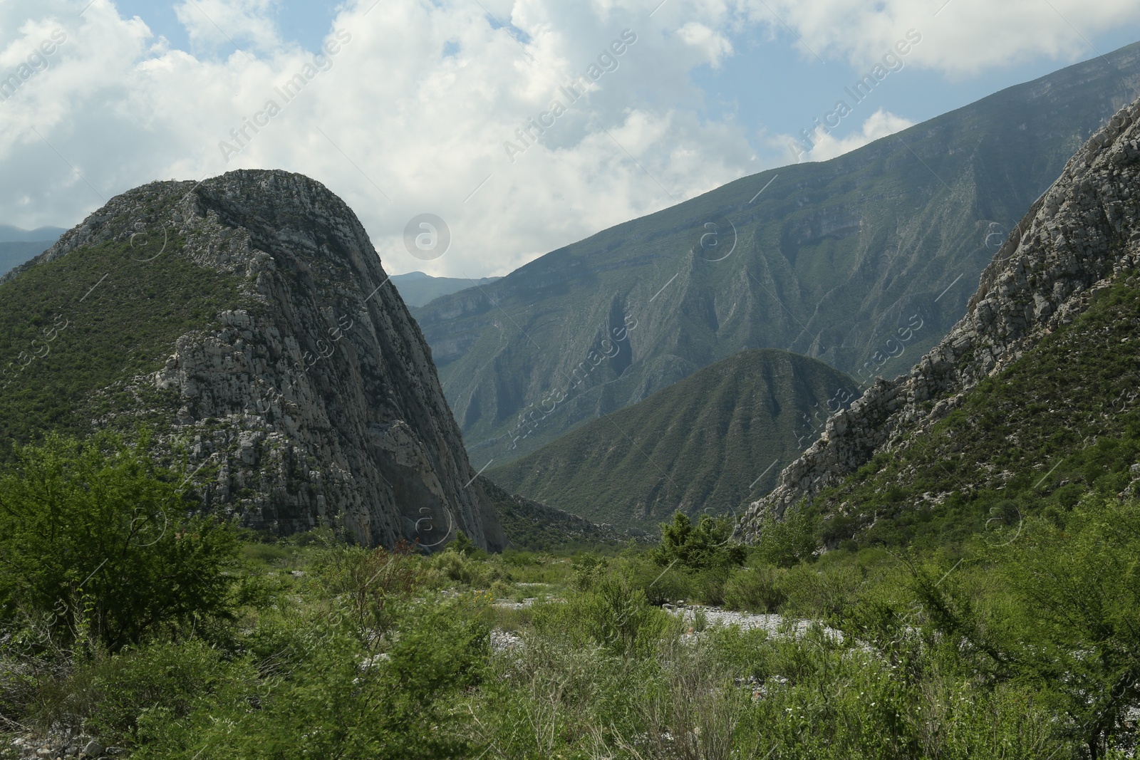 Photo of Picturesque view of beautiful mountains and plants under cloudy sky