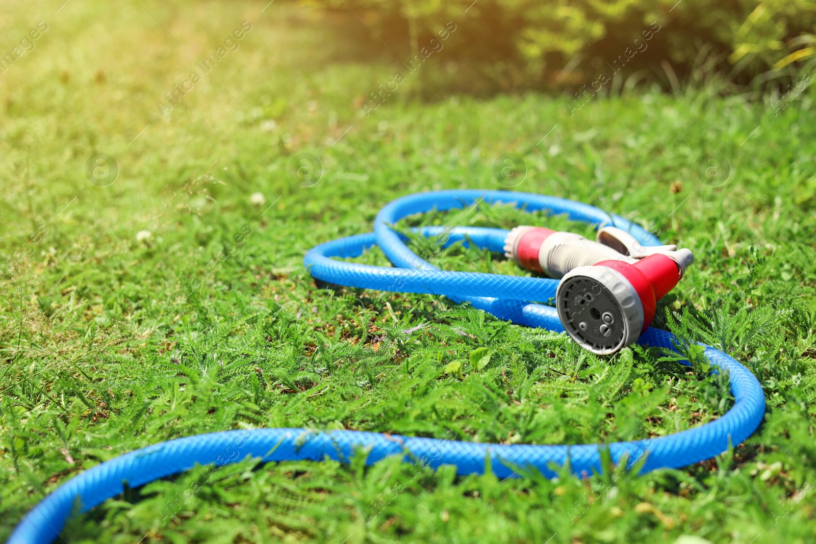 Photo of Watering hose with sprinkler on green grass outdoors, space for text