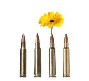 Image of Beautiful blooming flower and bullets on white background. Peace instead of war