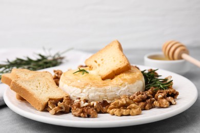 Photo of Tasty baked camembert, croutons, walnuts and rosemary on gray table, closeup