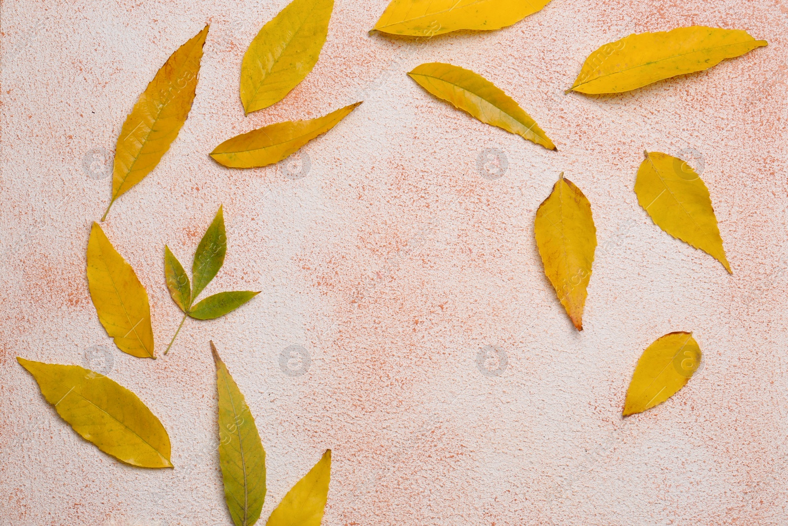 Photo of Autumn leaves on color background, flat lay. Space for text