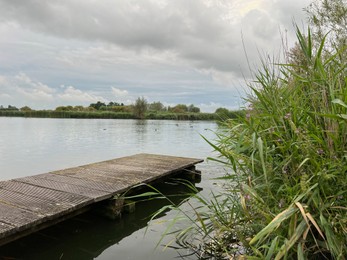 Photo of Picturesque view of river reeds and cloudy sky