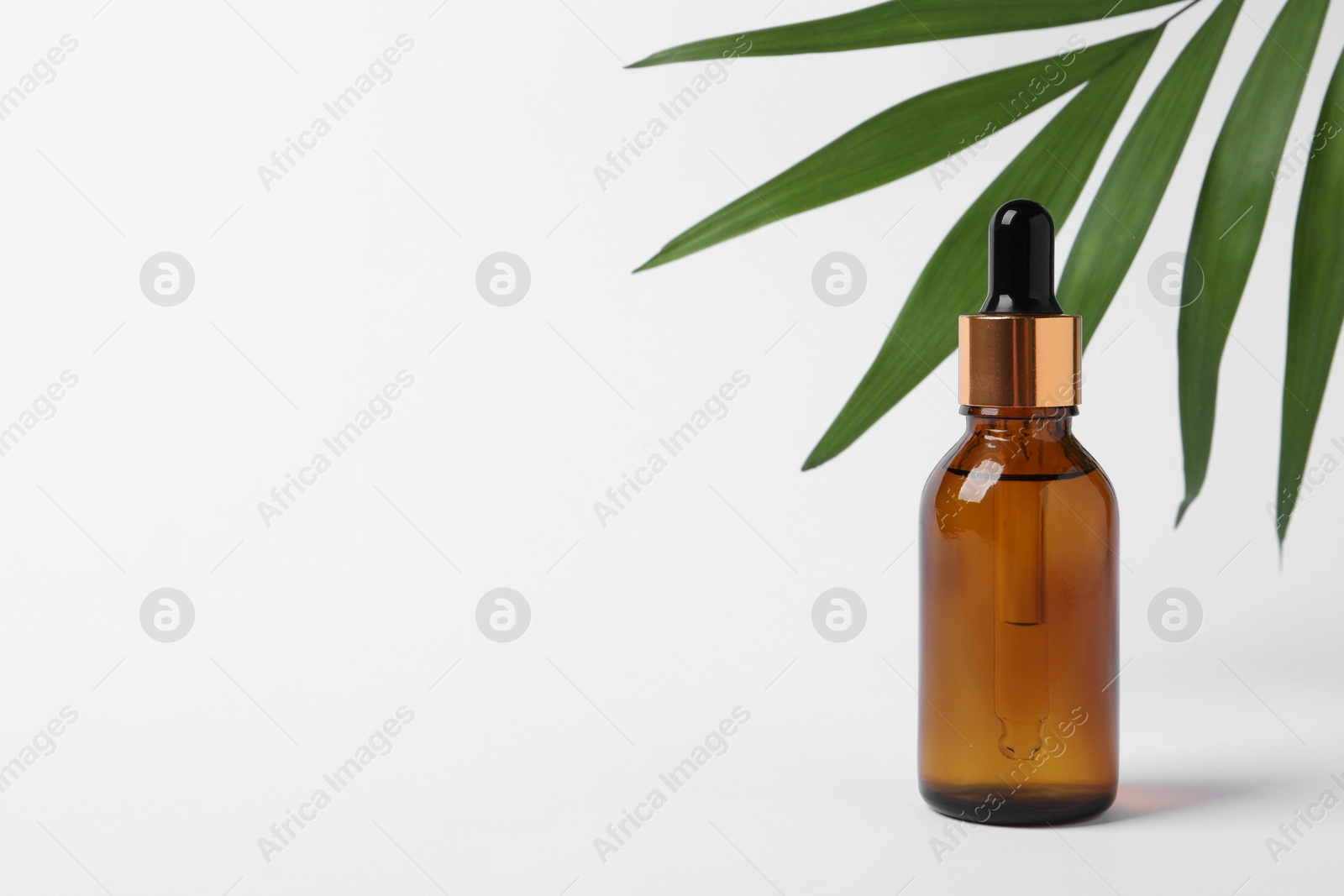 Photo of Bottle with cosmetic oil and green leaf on white background. Space for text