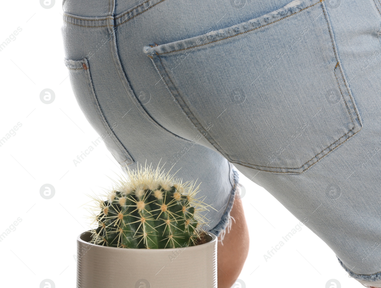 Photo of Man sitting down on cactus against white background, closeup. Hemorrhoid concept