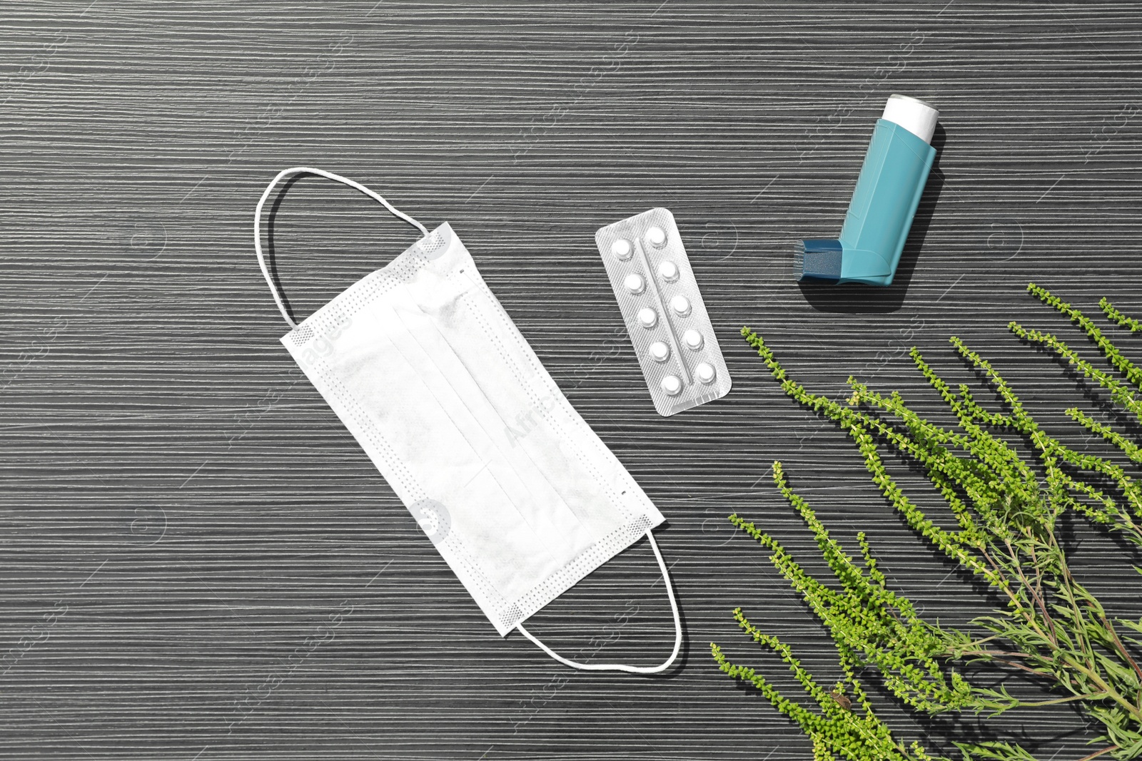 Photo of Flat lay composition with ragweed plant (Ambrosia genus) on dark grey table. Seasonal allergy