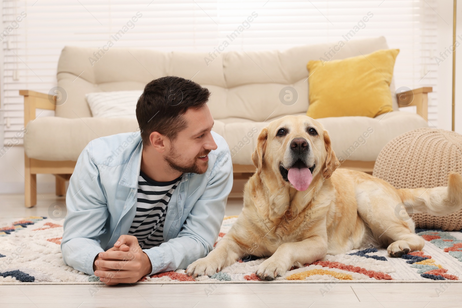 Photo of Man with adorable Labrador Retriever dog at home. Lovely pet