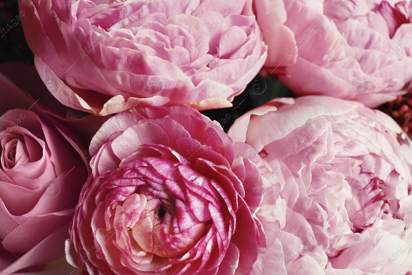 Photo of Beautiful bouquet of different flowers, closeup. Floral card design with dark vintage effect