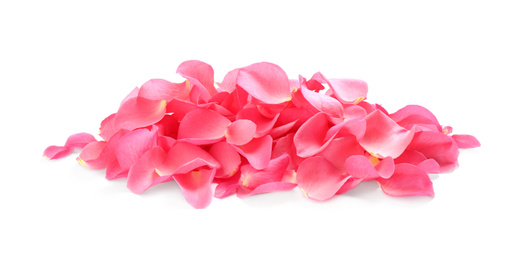 Pile of fresh pink rose petals on white background