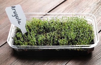 Young sprouts and card with word Arugula on wooden table