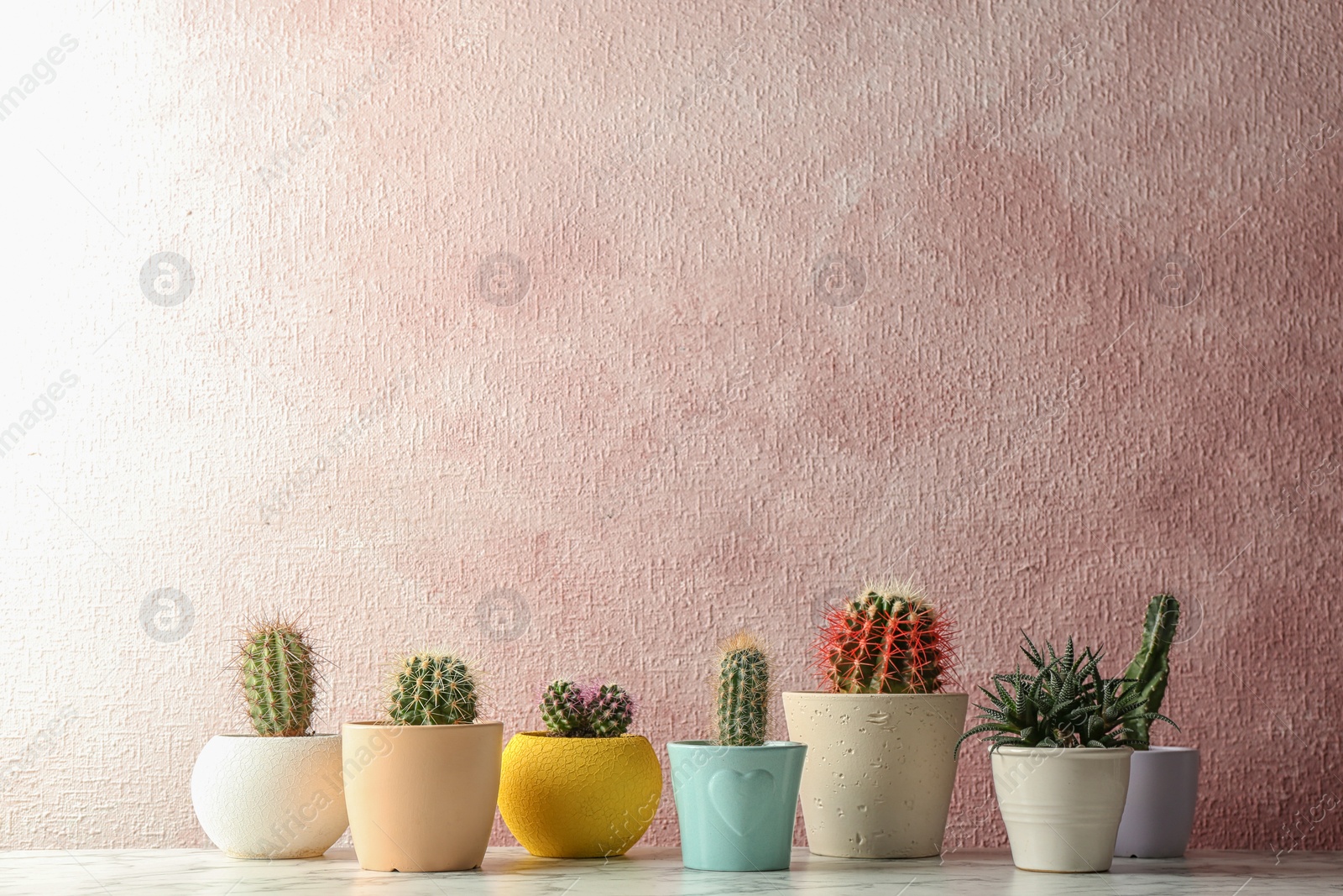 Photo of Different potted cacti on table near color background, space for text. Interior decor