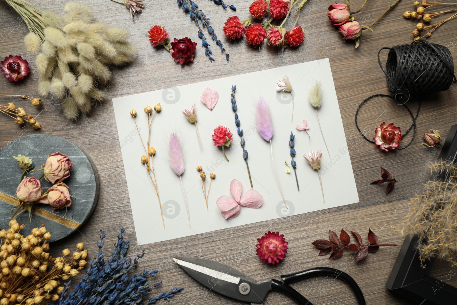 Photo of Flat lay composition with beautiful dry flowers on wooden background