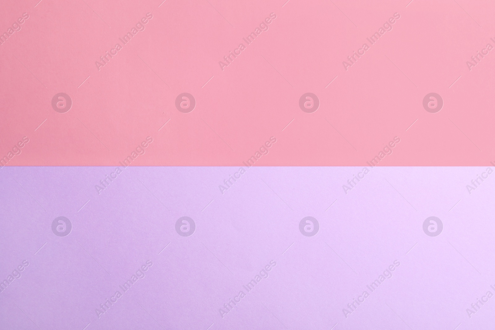 Photo of Violet and pink paper sheets as colorful background, top view