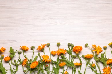 Photo of Beautiful calendula flowers on white wooden table, flat lay. Space for text