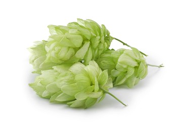 Fresh ripe green hops on white background